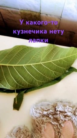 12 июля 2024 г.