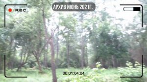 Парк 40летия Комсомола г. Ирбит. Заброшенный парк. Перезалив.