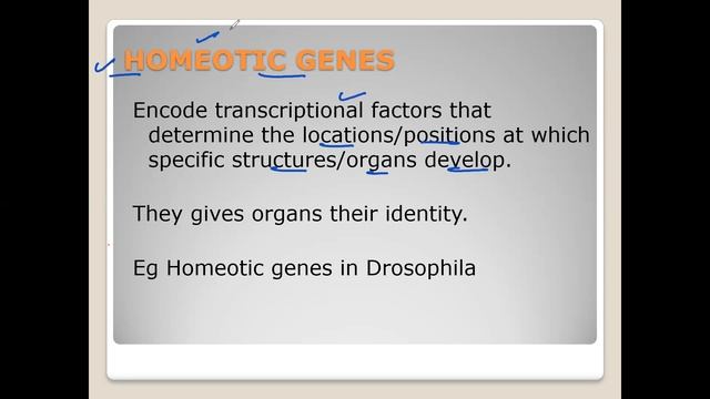 Homeotic Mutants in Arabidopsis Plant |Floral organ identity genes | ABC Model of floral developmen смотреть онлайн