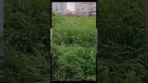 Переезд в Екатеринбург был ошибкой