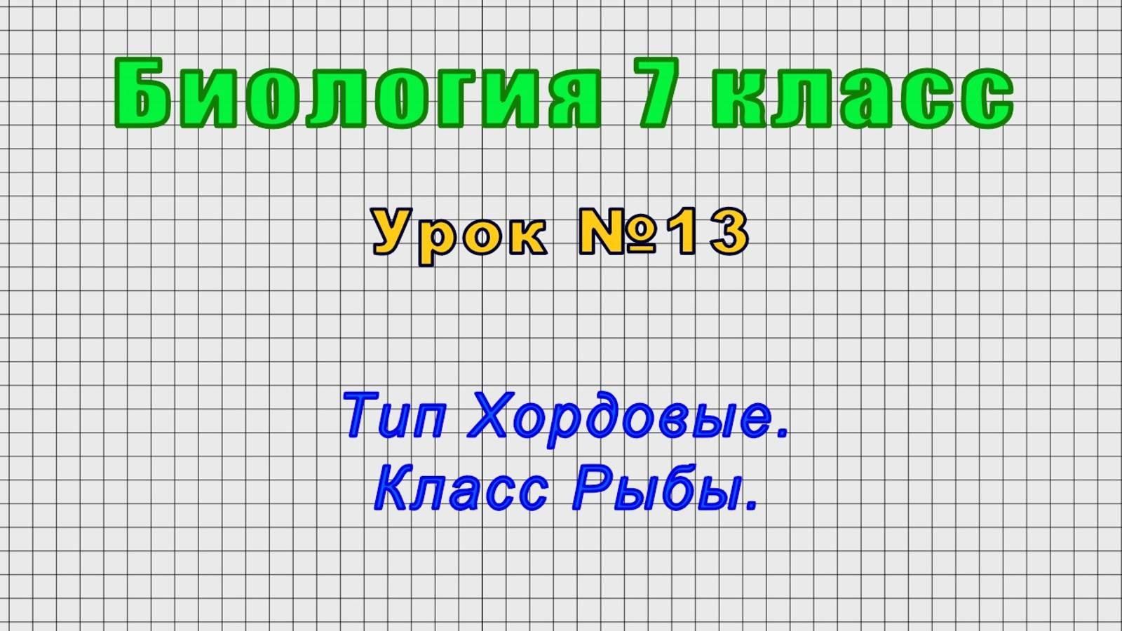 Биология 7 класс (Урок№13 - Тип Хордовые. Класс Рыбы.)