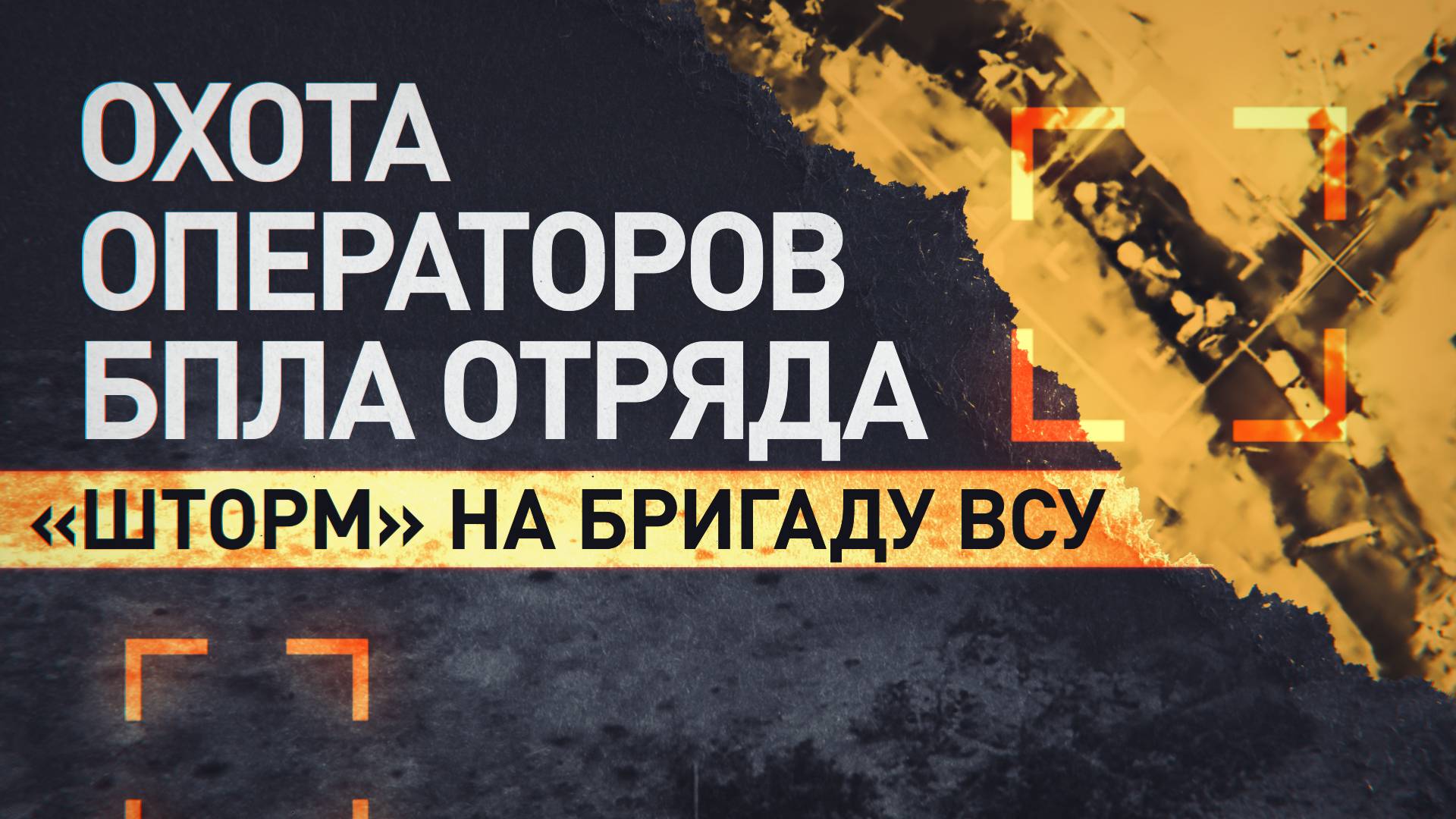 Операторы БПЛА отряда «Шторм» сорвали попытку ВСУ закрепиться в лесополосе Красногоровки