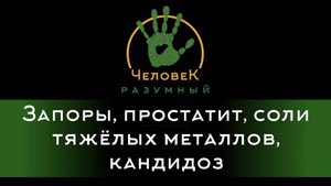 Запоры, простатит, соли тяжёлых металлов, кандидоз ("Человек-Разумный", 2015)