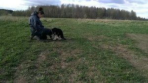 Первые шаги. Команда "рядом".