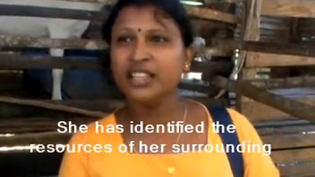 LiLi Model Dairy Farm смотреть онлайн