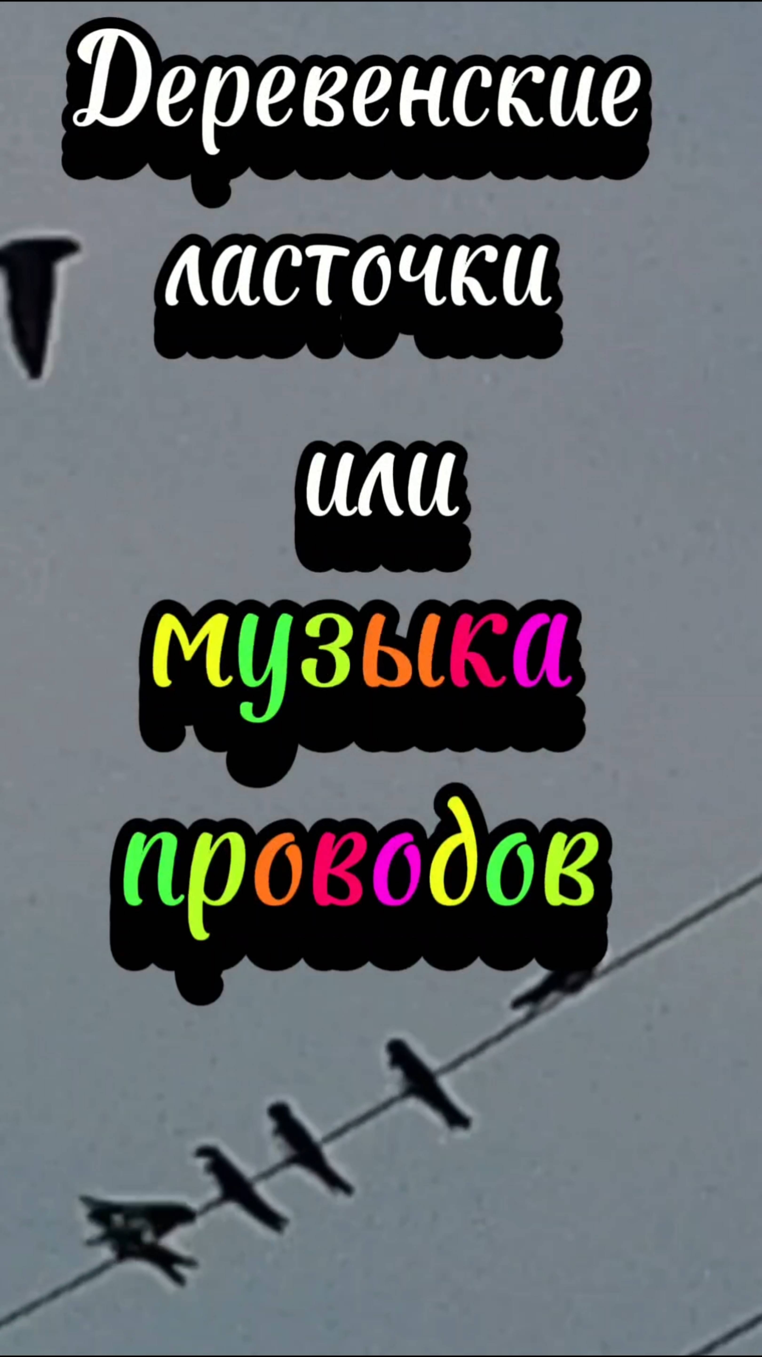 Деревенские ласточки или музыка проводов.
# природа. #лёгкость, #ластрчки