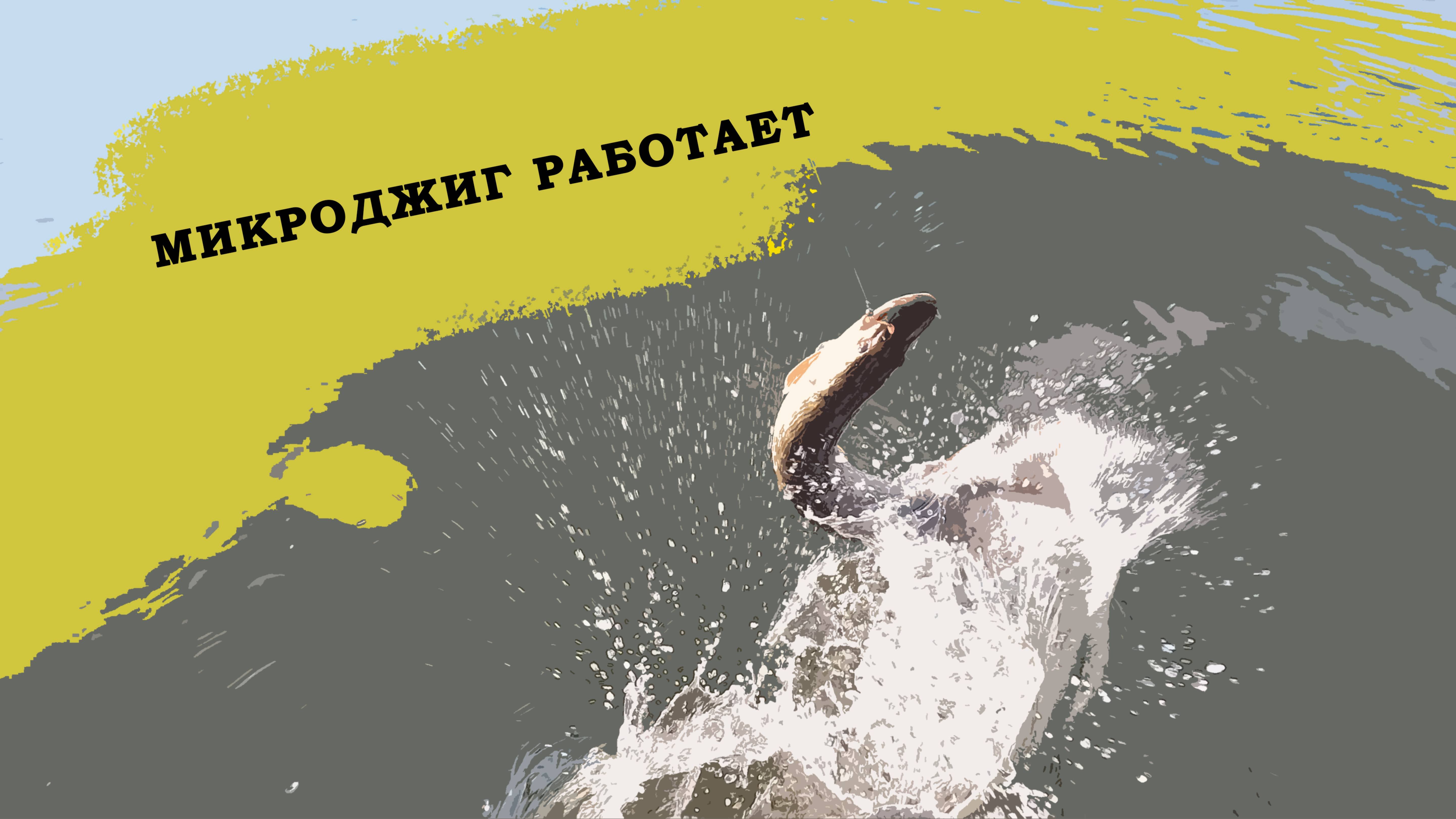 ХОТЕЛ ПОЛОВИТЬ ОКУШКОВ, А ТУТ ОНА........ ЩУКА НА МИКРОДЖИГ

#щука #рыбалканащуку #микроджиг   #fish