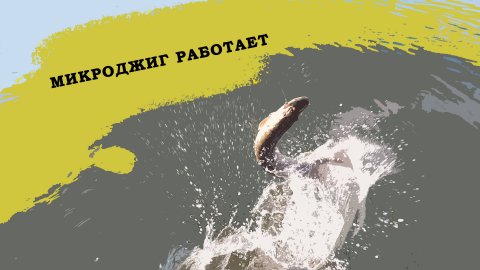 ХОТЕЛ ПОЛОВИТЬ ОКУШКОВ, А ТУТ ОНА........ ЩУКА НА МИКРОДЖИГ
#щука #рыбалканащуку #микроджиг #fish