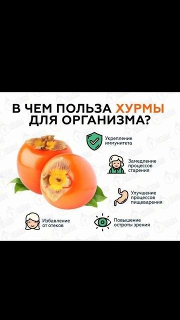 ЧЕМ ПОЛЬЗА ХУРМЫ ДЛЯ ОРГАНИЗМА?