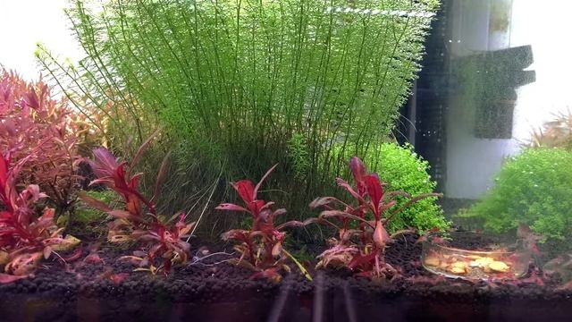 ПРОСТО РЕЛАКС! смотреть онлайн