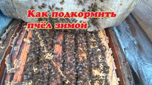 ЗАКАНЧИВАЮТСЯ КОРМА У ПЧЁЛ, ЧТО ДЕЛАТЬ ДАЛЬШЕ.