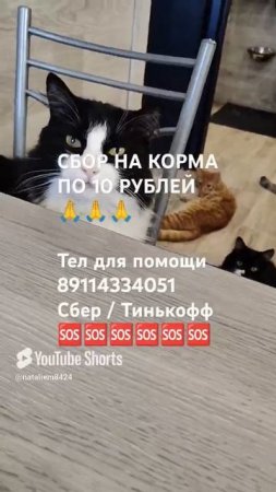 ЧЕЛОВЕК ПОМОГИ 🙏🆘