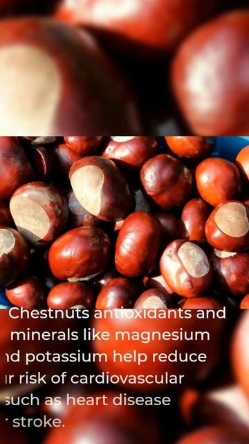 Chestnut смотреть онлайн