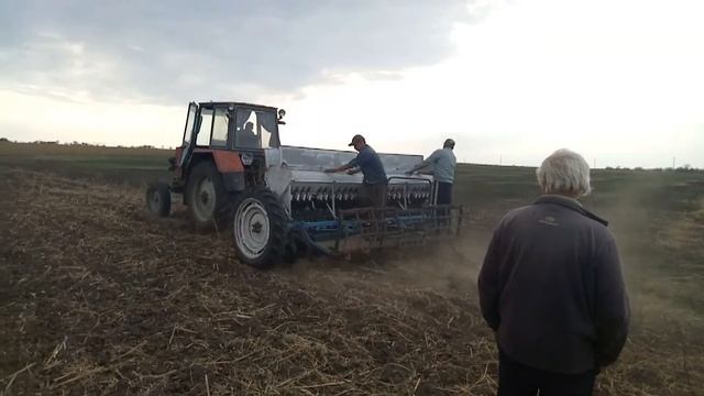 посевная озимой пшеницы