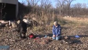 Шимпанзе Канзи научился разжигать огонь