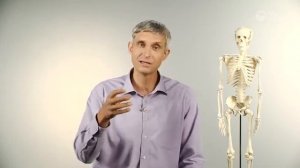 Секреты здорового позвоночника  (Полезная минутка)
Павел Меженин