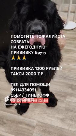 ЧЕЛОВЕК ПОМОГИ 🙏🆘
