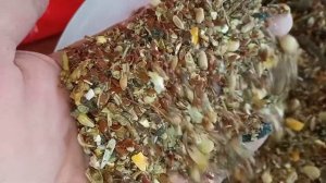 помогите с составом зерносмеси! #зерно #куры #курица #иммунитет