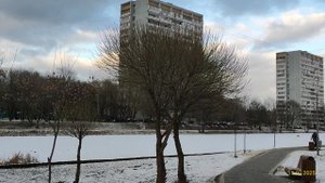 Варшавские пруды 15.02.2025