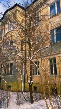 Калининград: в снегу, февраль 2025