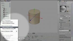 vidObit-LibraryPlaceCluster