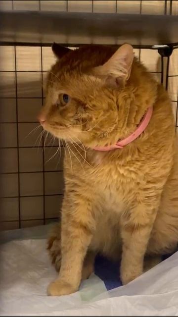 16-02-2025 смотреть онлайн