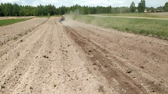 Самодельный трактор.Довсходовое боронование картофеля культиватором КПН-3 с сетчатой бороной. смотреть онлайн