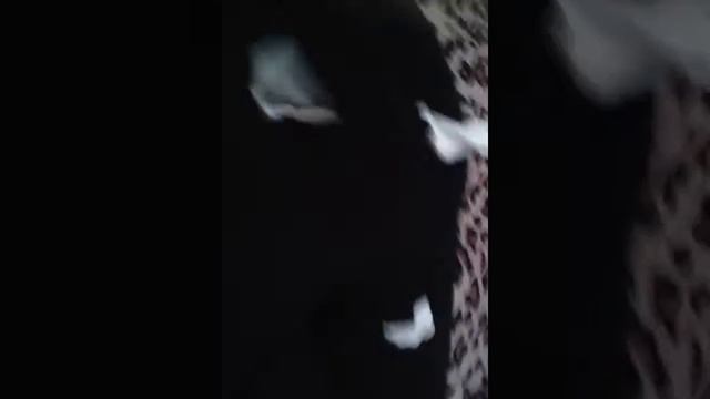 Челендж не разбуди Катю смотреть онлайн