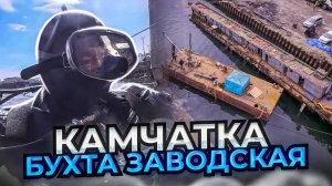 Камчатка, Невероятное подводное приключение. Исследуем бухту Заводскую!