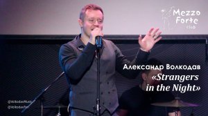 "Strangers in the Night" Александр Волкодав - Mezzo Forte, Москва 27.03.2024 #александрволкодав