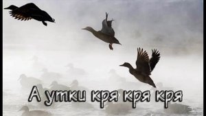 А утки кря кря кря