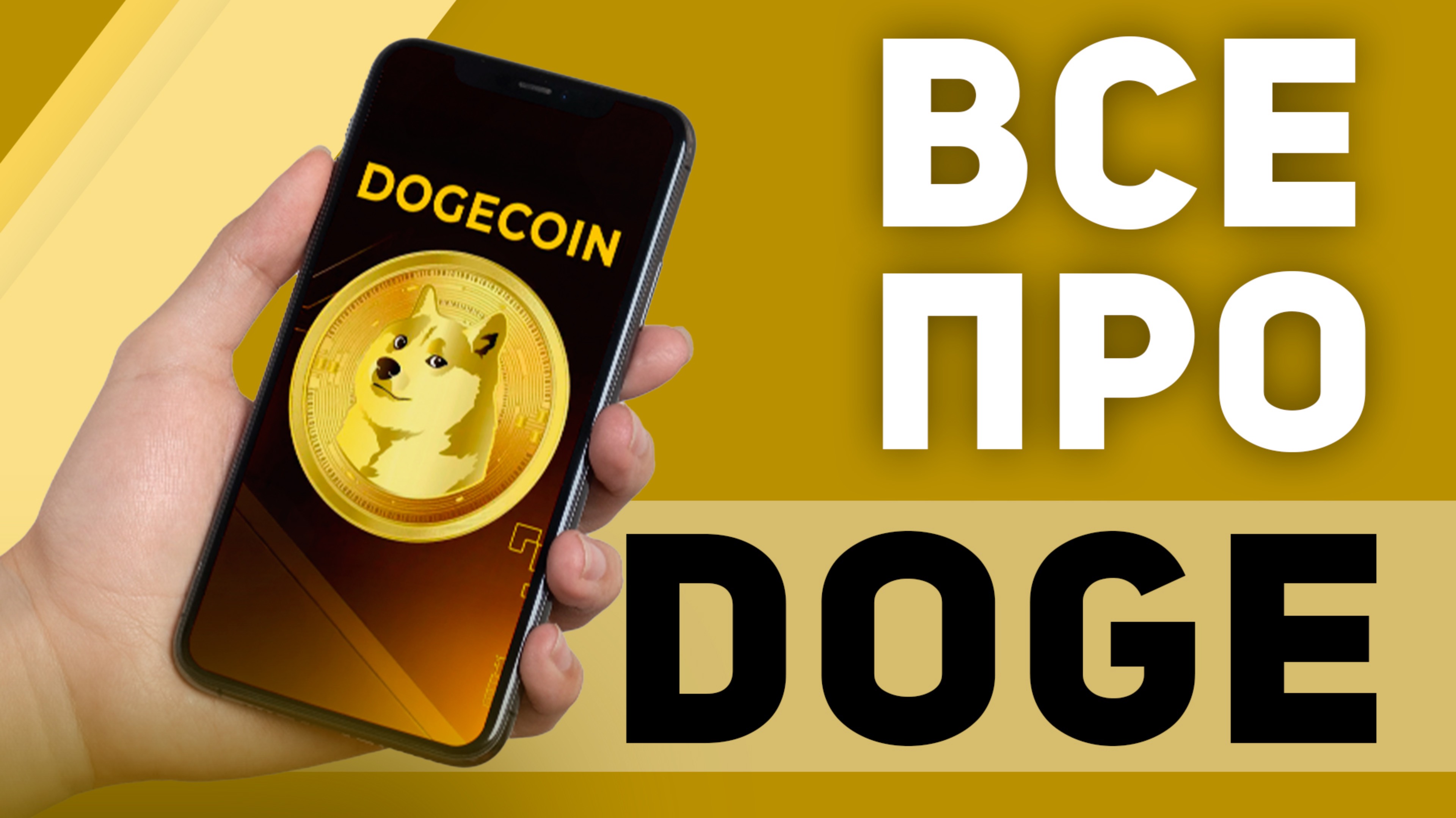 Все про DOGE