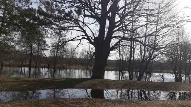 Нужно ли ходить к психологам_ смотреть онлайн