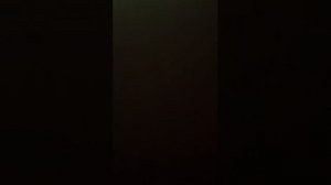 15 Маша Трактор