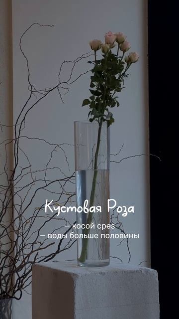 Цветы быстро вянут?