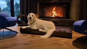 Создание лежанки для собак в стиле лофт