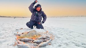 Рыбалка СУПЕР класса! Рыжий монстр рвётся в глубину, сорога как селёдка ,лески звенят!