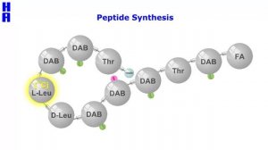 Peptide Synthesis