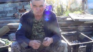 Чеснок. Предпосадочная замачивания чеснока в зольной.