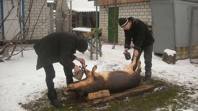 село і люди