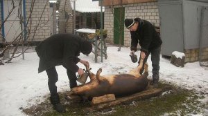 село і люди