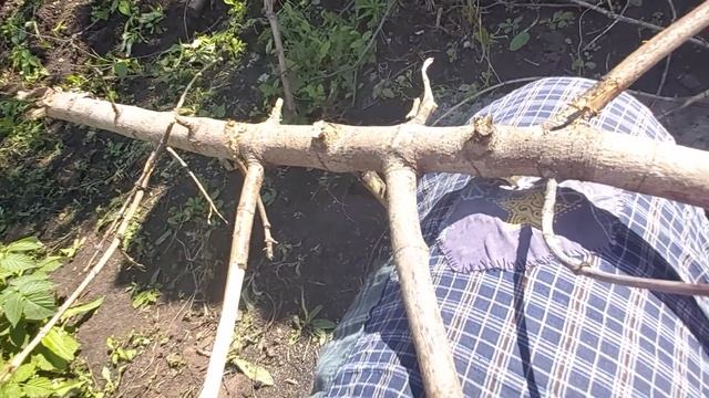 пилю ветки