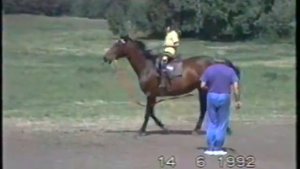 horse riding first lesson Bartoszewo