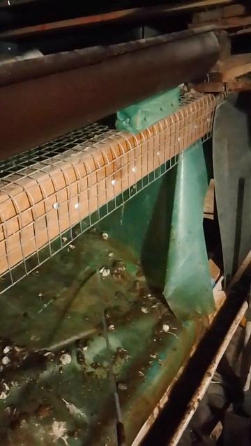 Лазерная уборка помета у кур бройлеров.Автроская разработка. смотреть онлайн