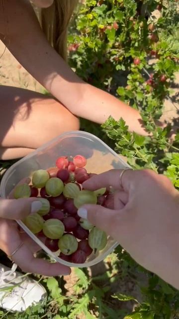 Das war unser erstes Mal 😍 wer hat das auch schon mal gemacht? | #lesotwins 👯♀️ смотреть онлайн