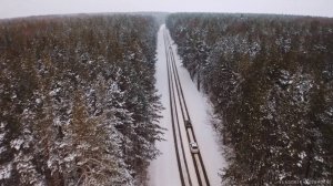 Snowfall in the forest