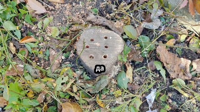 Как избавиться от надоевшего пня смотреть онлайн