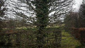 Дальнобоем по европе.