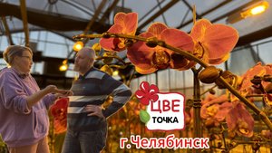 Цветочка г.Челябинск