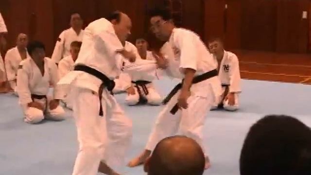 少林寺拳法 SHORINJI KEMPO. WSKO MOSCOW BRANCH.Mori-Sensei...